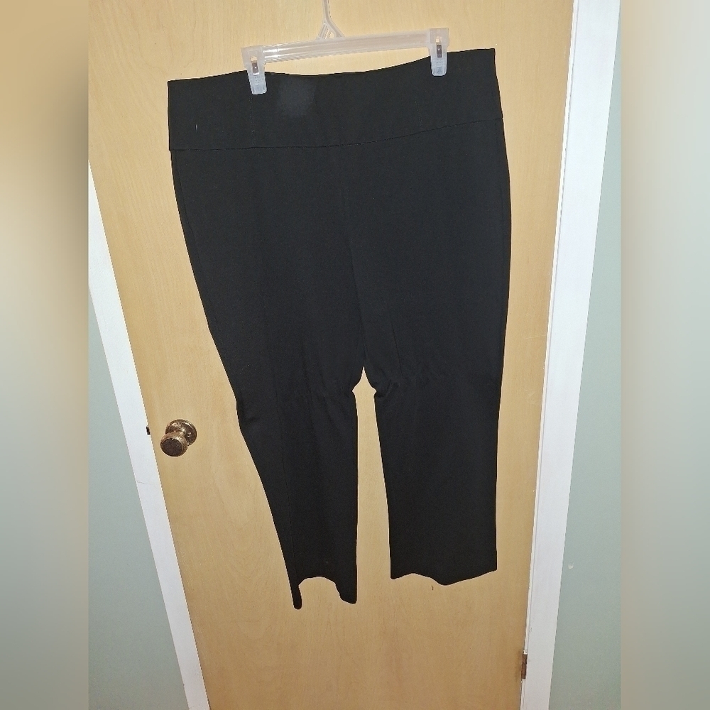 Sears Straight Leg Plus Size Pants Size XXL (20)